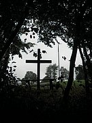 P9200008.JPG