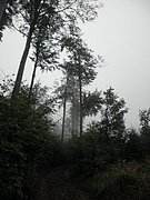 P9200011.JPG