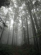 P9200013.JPG