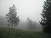 P9200019.JPG