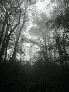 P9200025.JPG