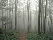 P9200028.JPG