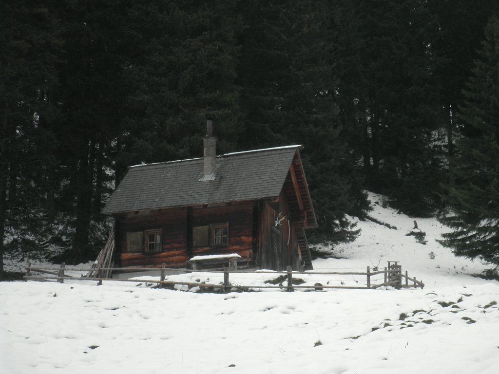 P9140140.JPG