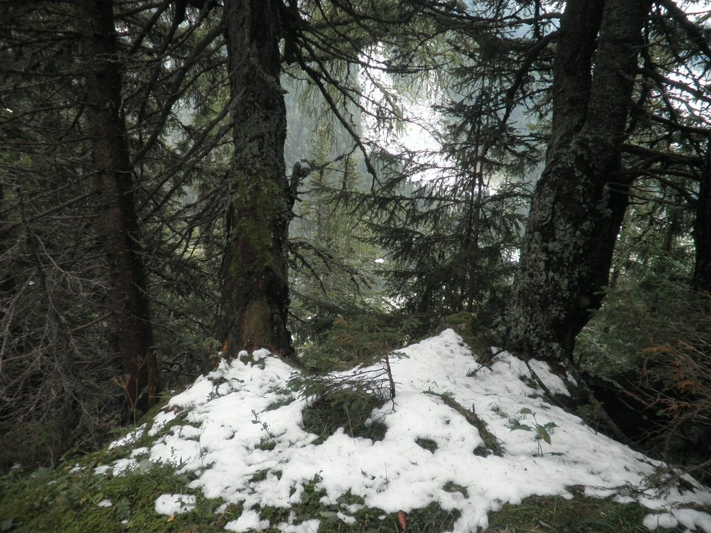 P9140145.JPG