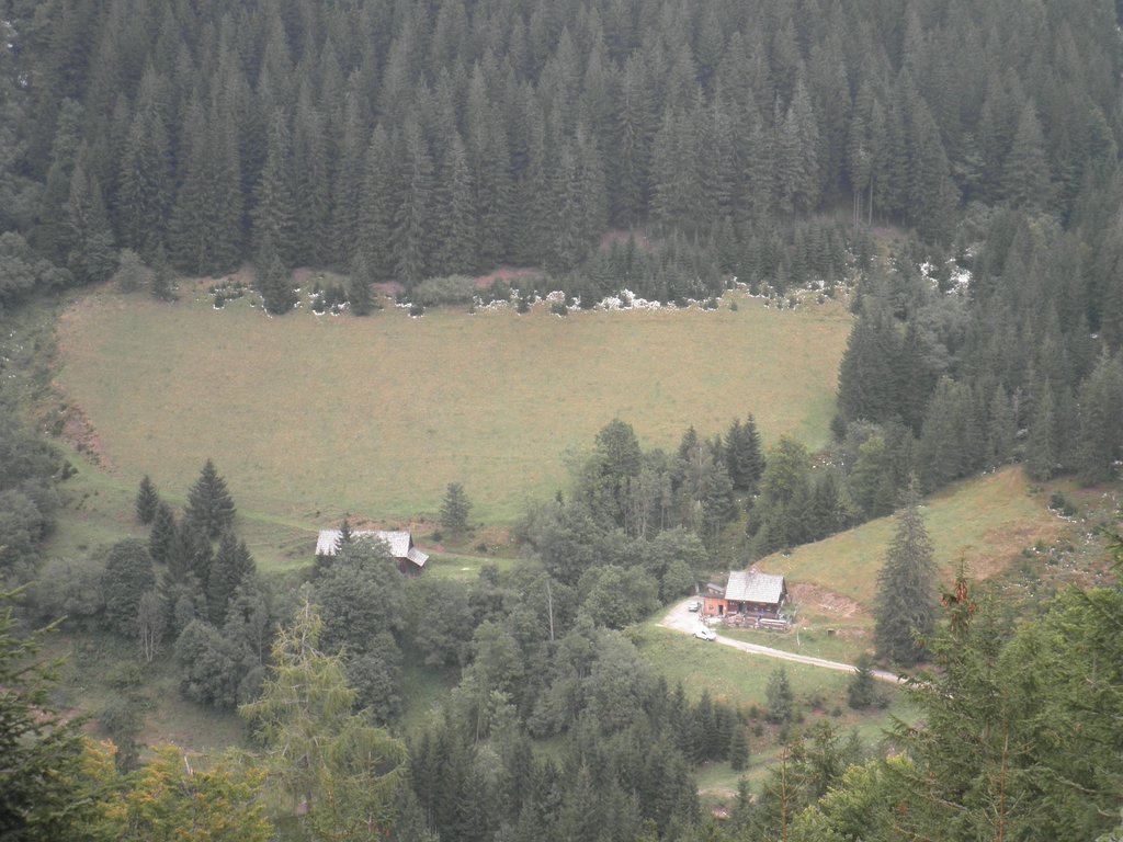 P9140151.JPG