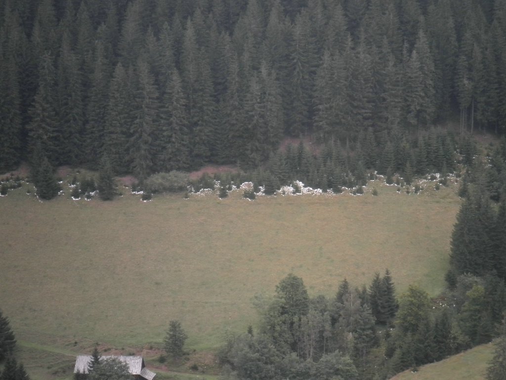 P9140152.JPG