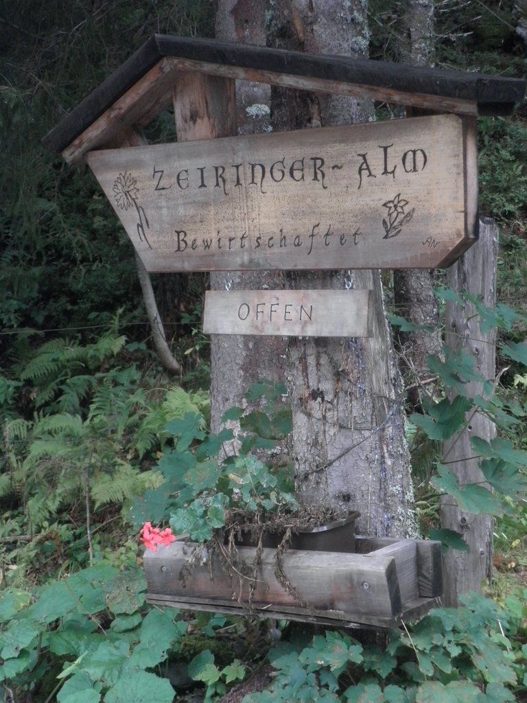 P9140155.JPG