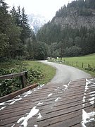 P9140113.JPG