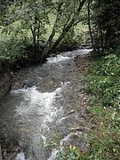 P9140114.JPG