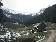 P9140134.JPG