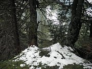 P9140145.JPG