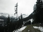P9140150.JPG