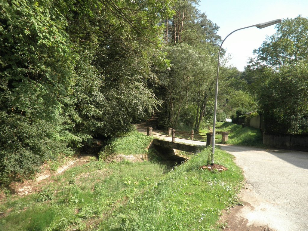 P7310066.JPG