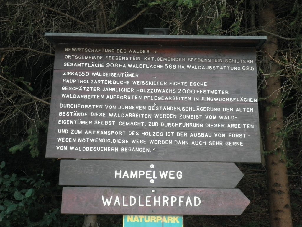 P7310082.JPG