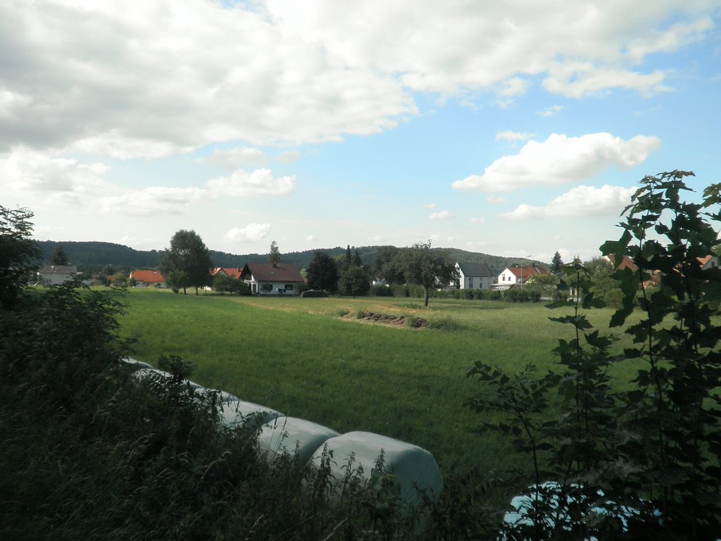 P7310083.JPG