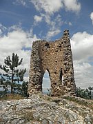 P7310019.JPG