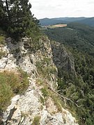 P7310030.JPG