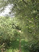 P7310042.JPG