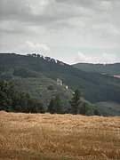 P7310044.JPG