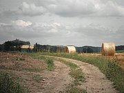 P7310046.JPG