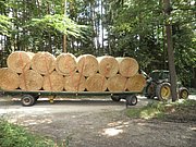 P7310055.JPG