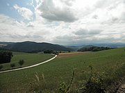 P7310056.JPG