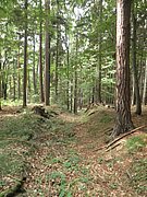 P7310057.JPG