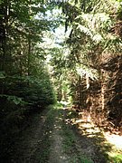 P7310064.JPG