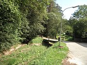 P7310066.JPG