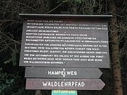 P7310082.JPG