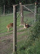 P7310084.JPG