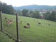 P7310085.JPG