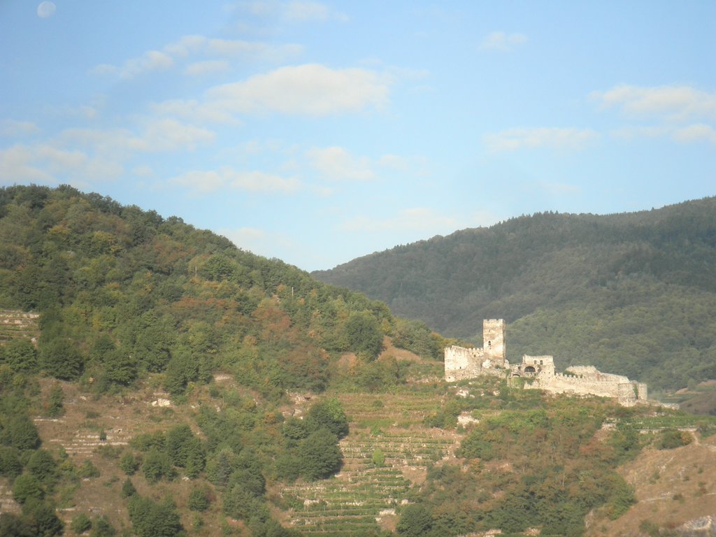P9160166.JPG
