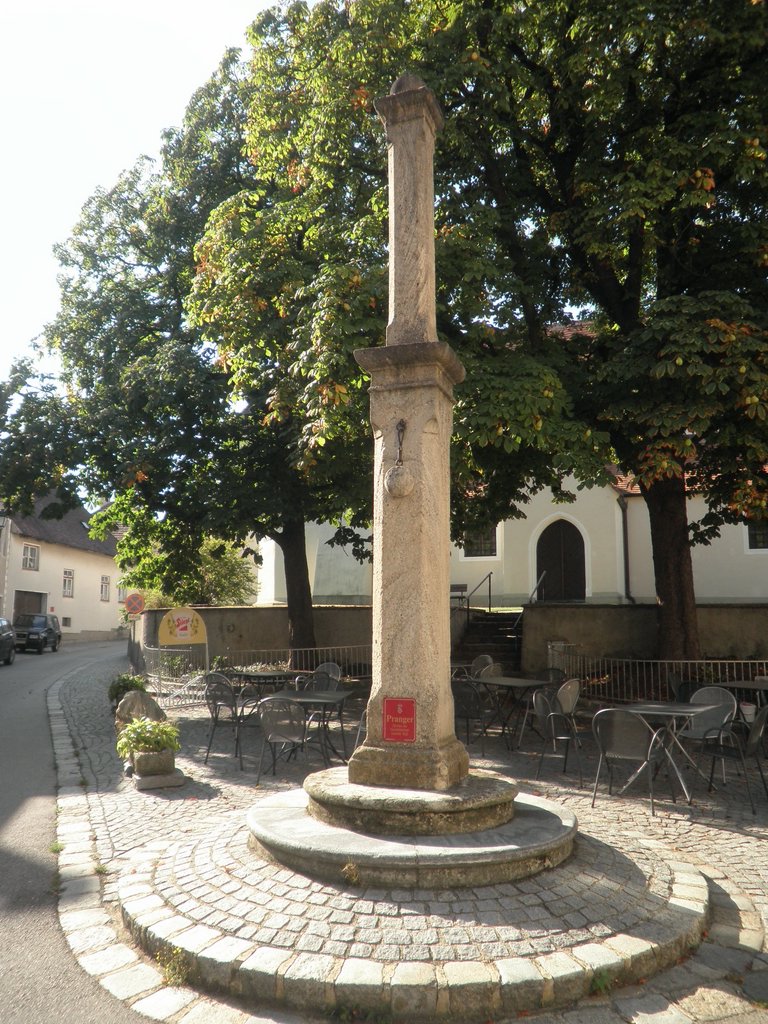 P9160167.JPG