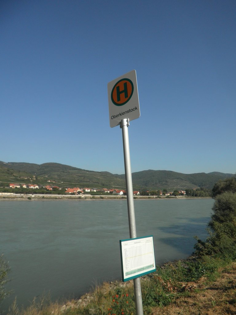 P9160171.JPG