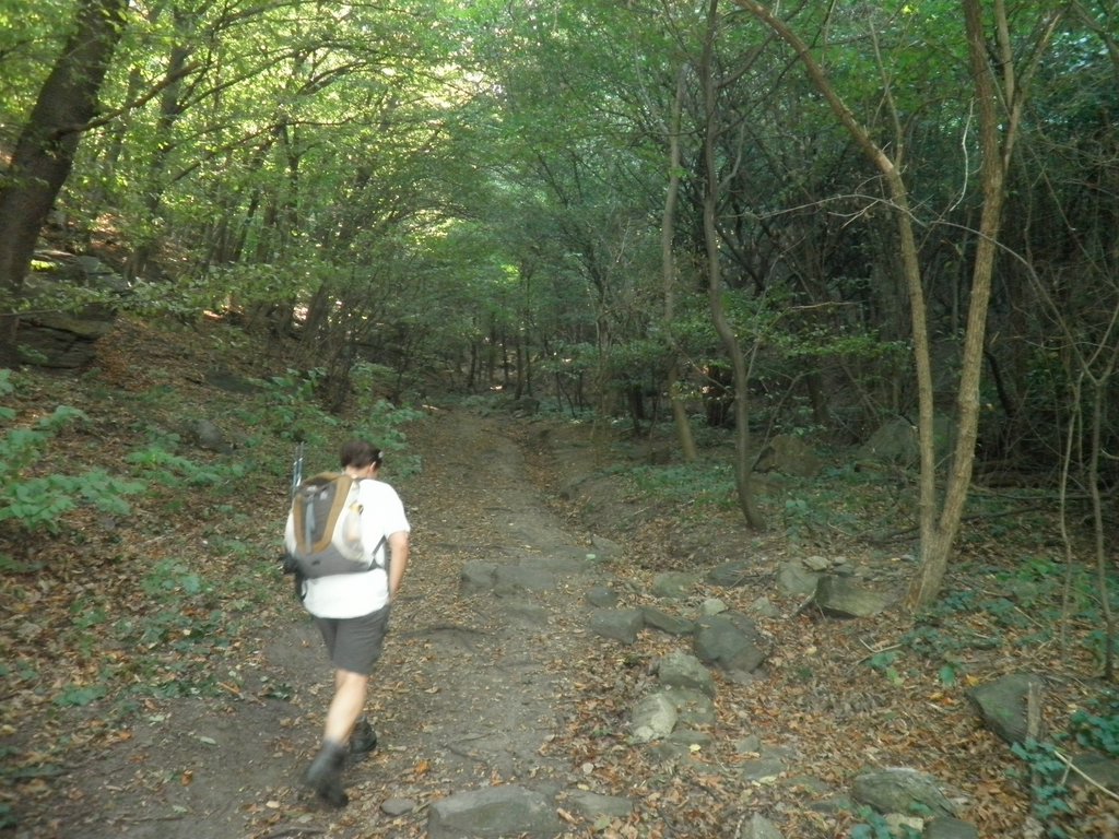 P9160173.JPG