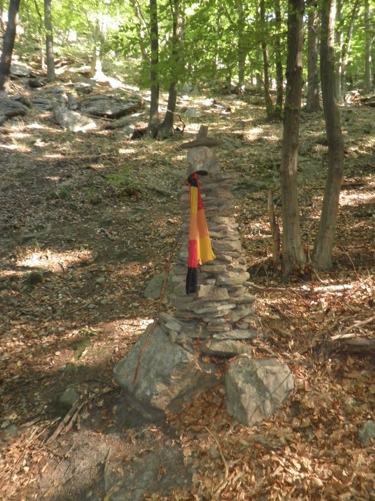 P9160175.JPG