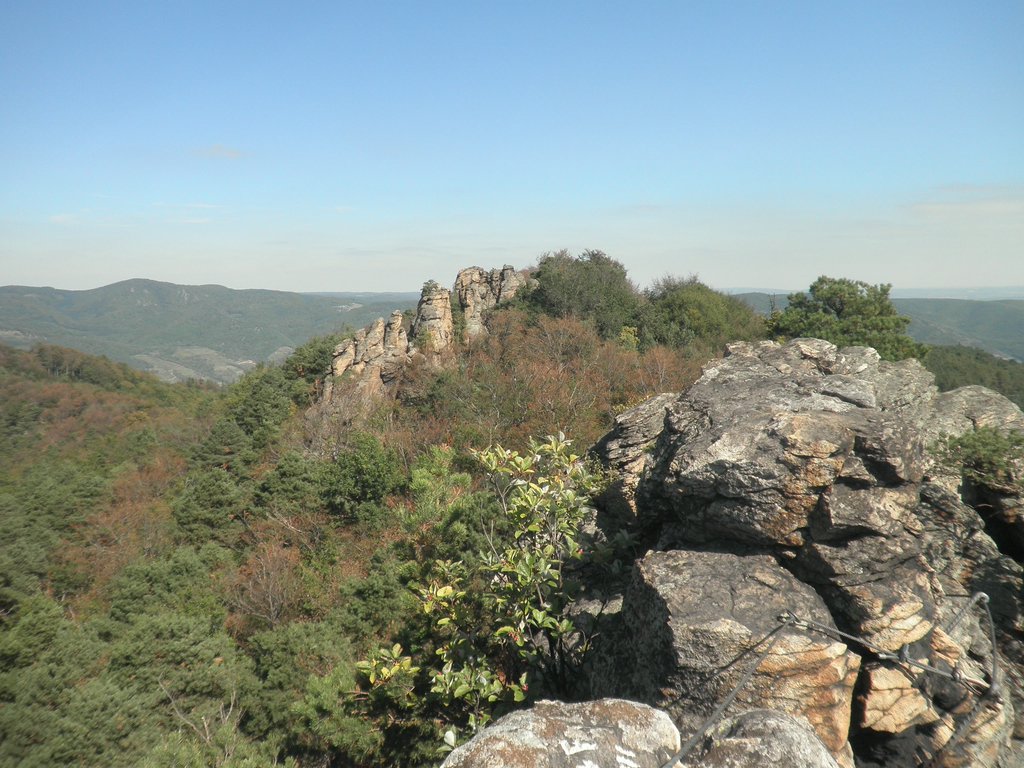 P9160190.JPG