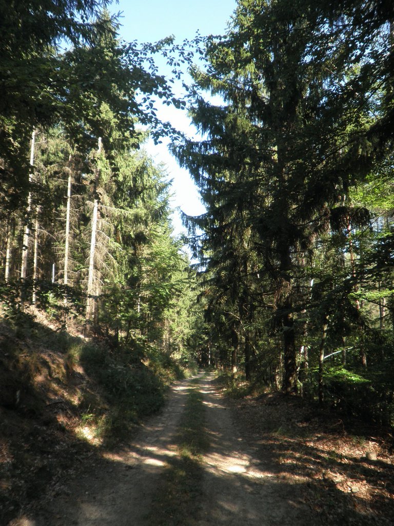 P9160202.JPG