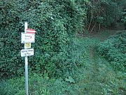 P9160172.JPG