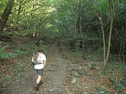 P9160173.JPG
