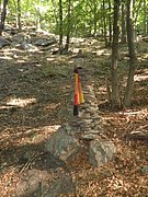 P9160175.JPG