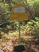 P9160179.JPG