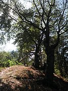 P9160180.JPG