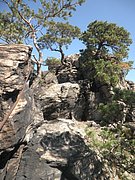 P9160197.JPG