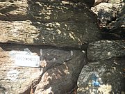 P9160199.JPG