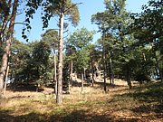 P9160206.JPG
