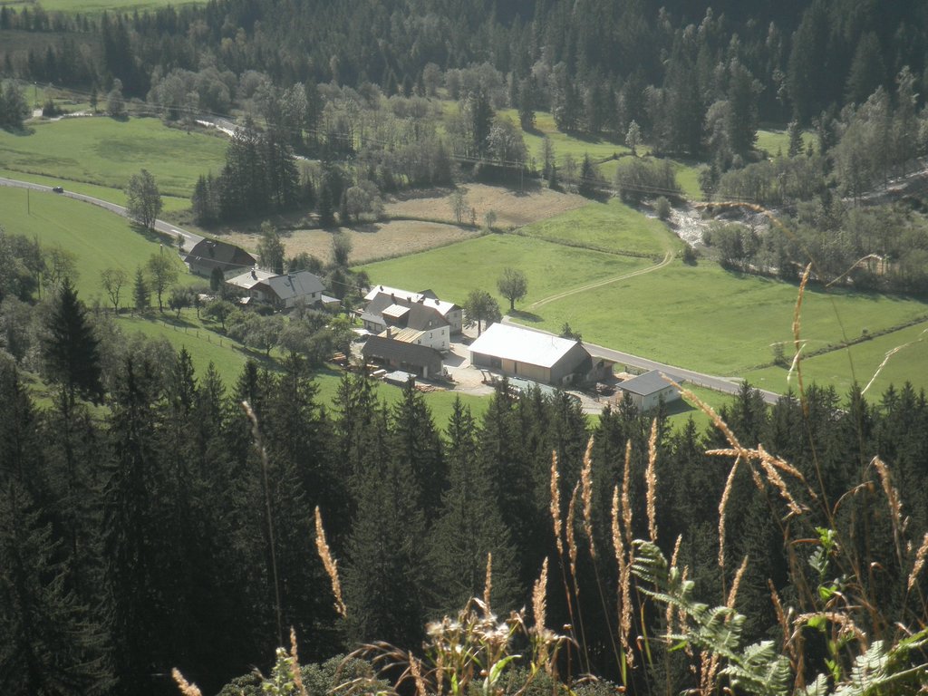 P9100012.JPG