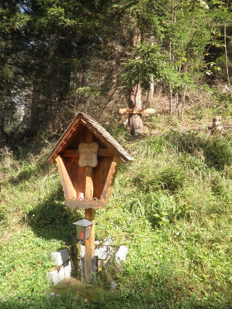 P9100016.JPG