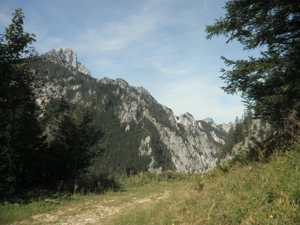P9100017.JPG
